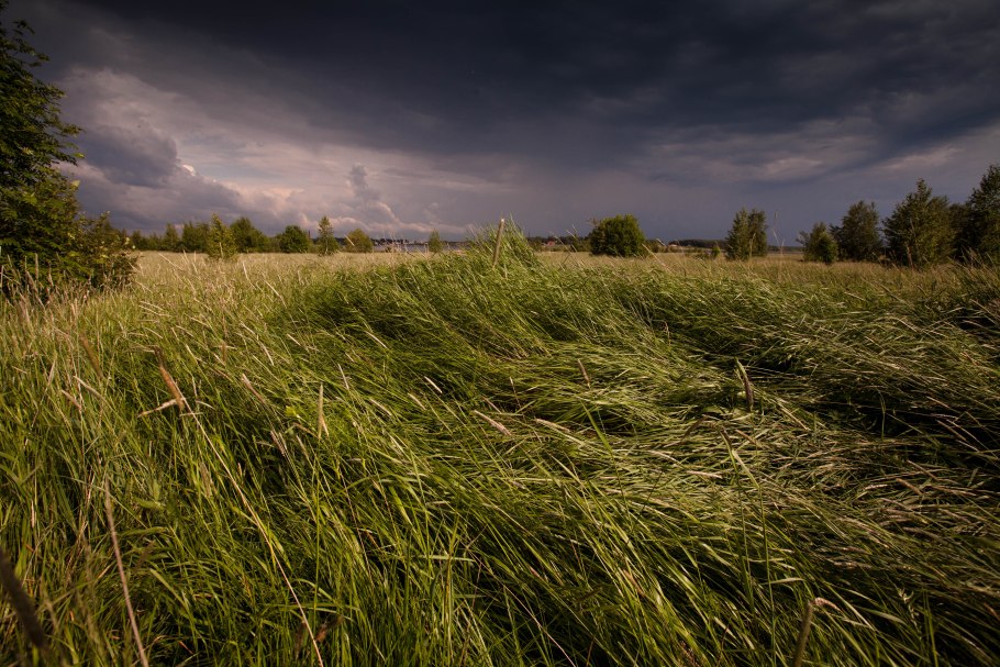 Дождь в поле