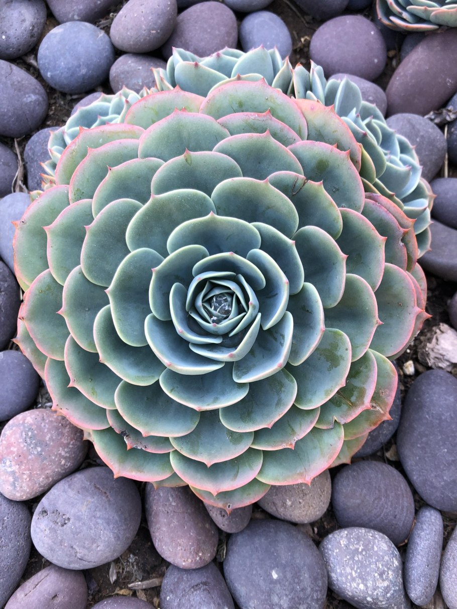 Мать и мачеха горы Аибга