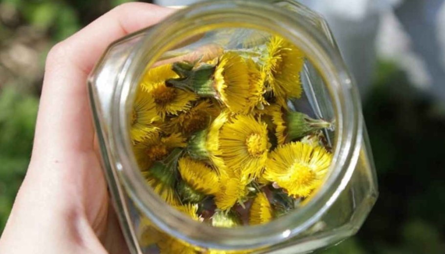 Берестовский мать мачеха