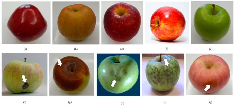 Колоновидные яблони