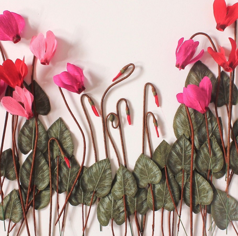 Cyclamen europaeum (Cyclamen что это