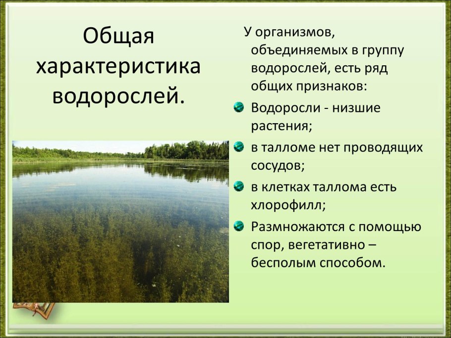 Биология таблица признаки водорослей