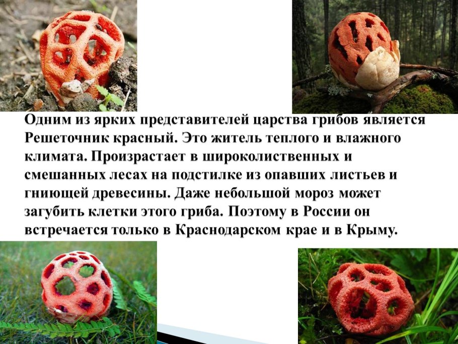 Токсично красный
