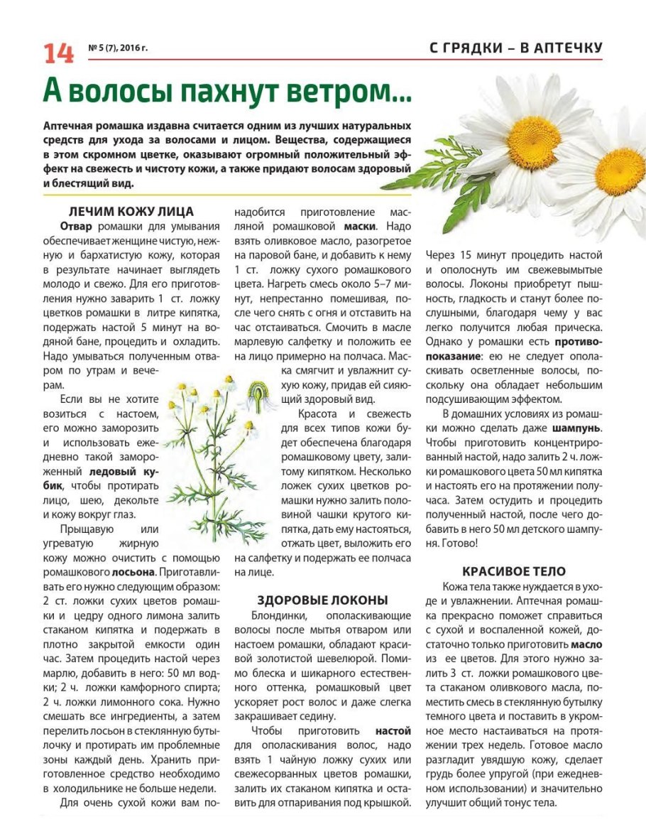 Отвар ромашки в аптеке