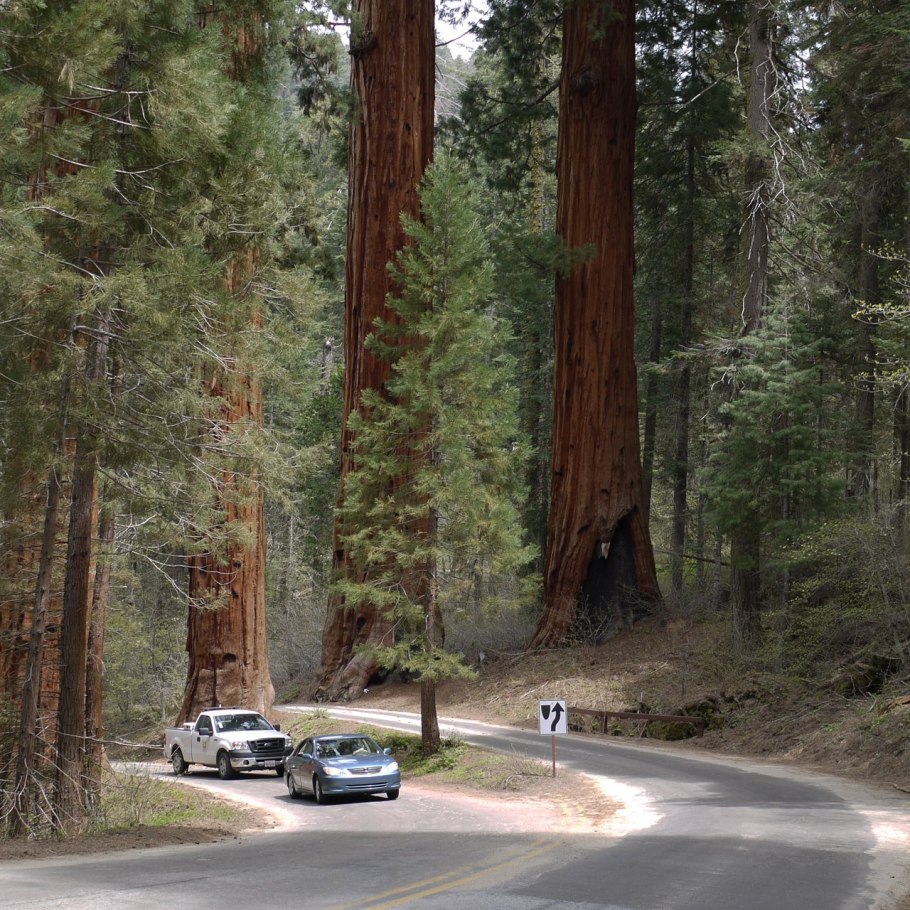 Юр адрес Секвойя