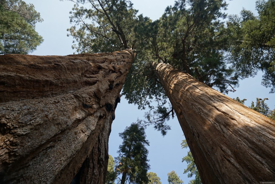 Национальный парк Секвойя
