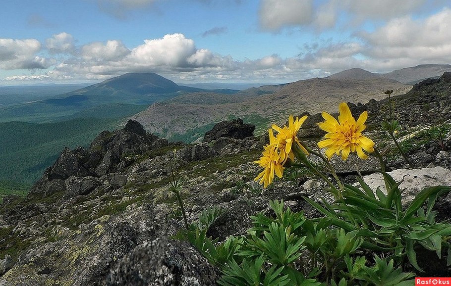 Горы Басеги