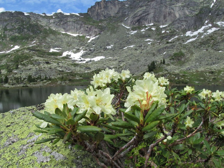 Висимский биосферный заповедник