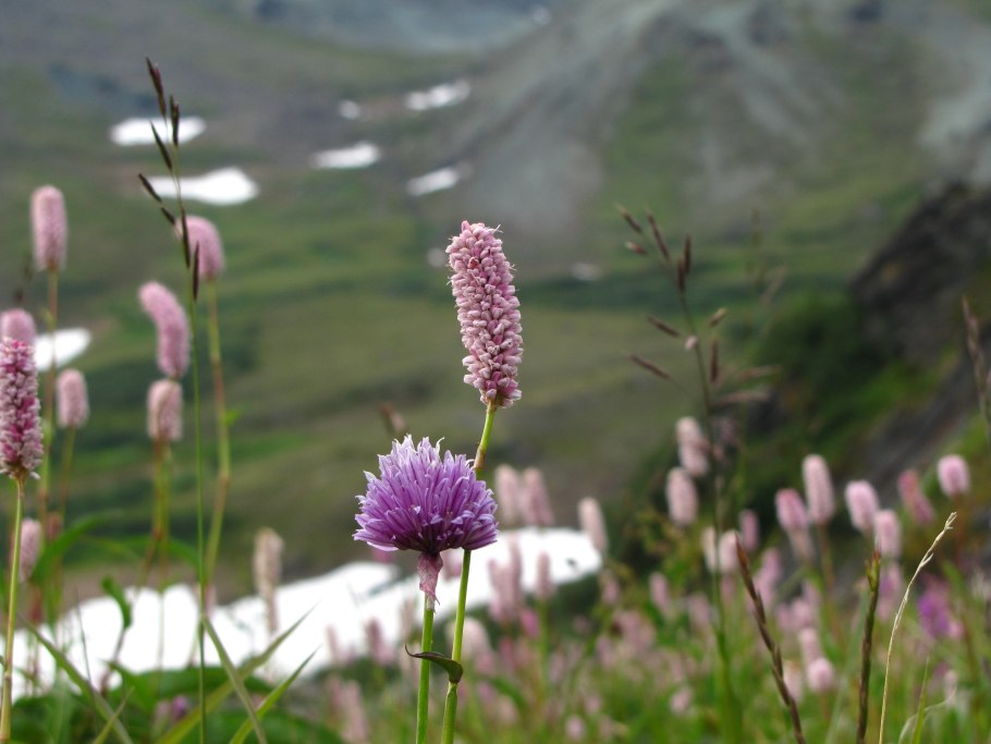 Уральские горы Денежкин камень