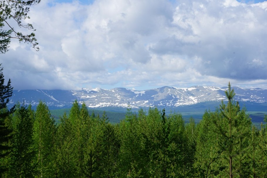 Бабочки на снежных Вершинах Алтая