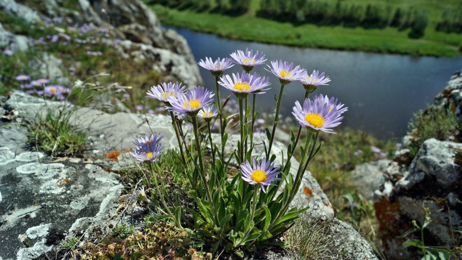 Висимский заповедник природа