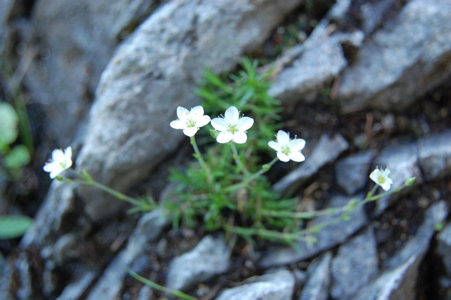 Уральские горы Денежкин камень