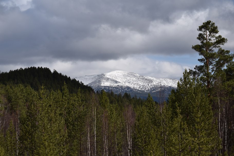 Денежкин камень заповедник