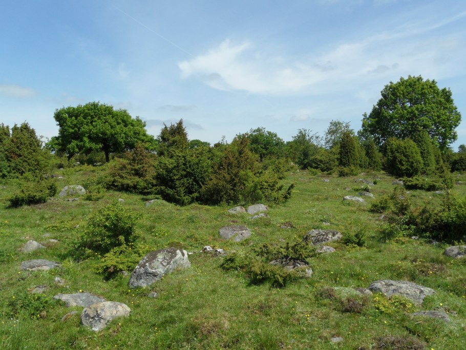 Черемухово заповедник Денежкин камень