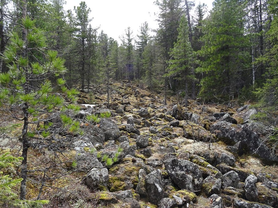 Заповедник Басеги Пермский край