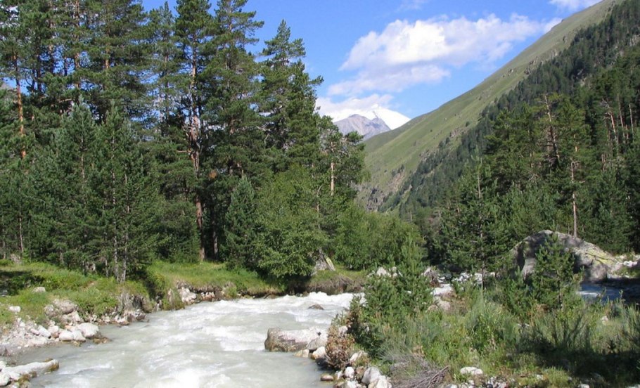 Этническая карта Юга России