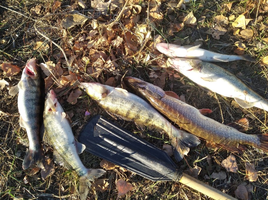 Озернинское водохранилище рыбалка