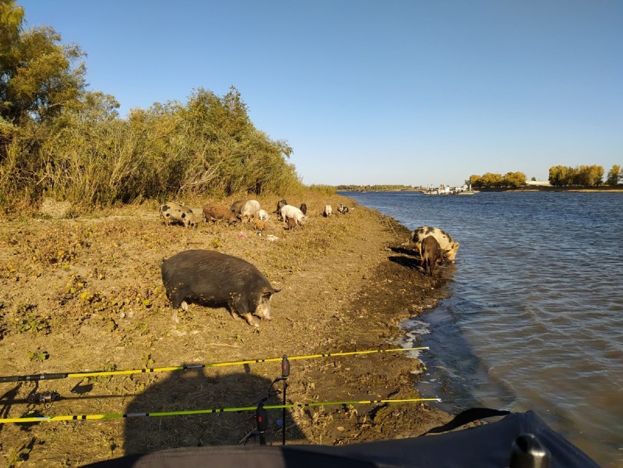 Волго-Донской канал на карте