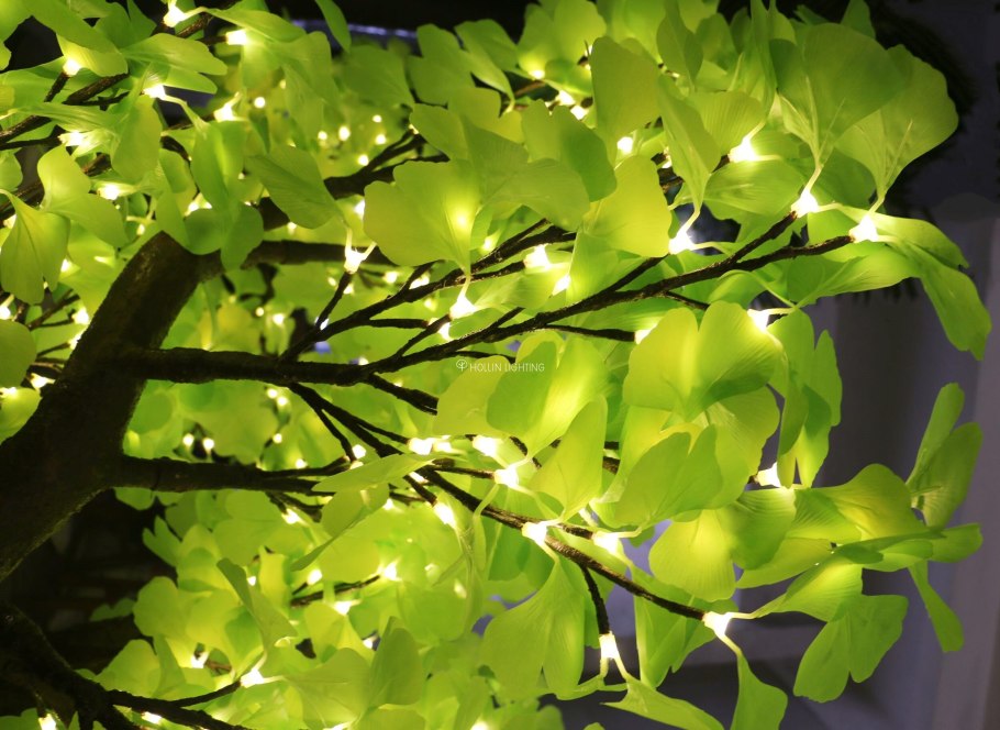 Оранжевые семена сморщенные