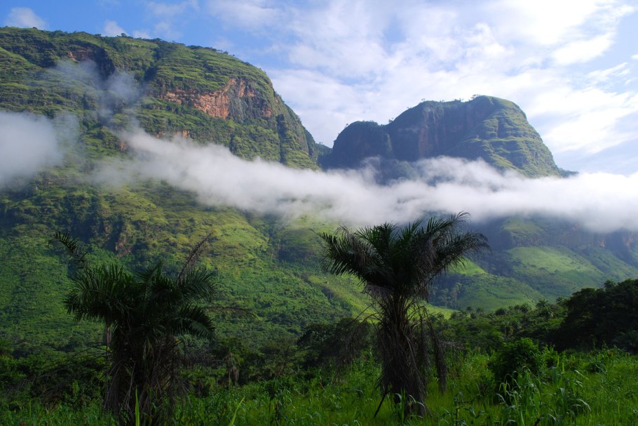 Редколесья Южной Америки