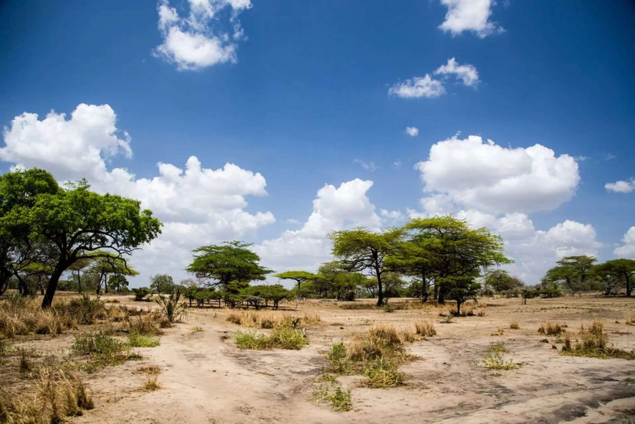 Климатическая карта Африки осадки