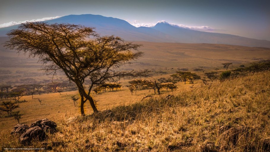 Климатическая карта Африки климатические пояса