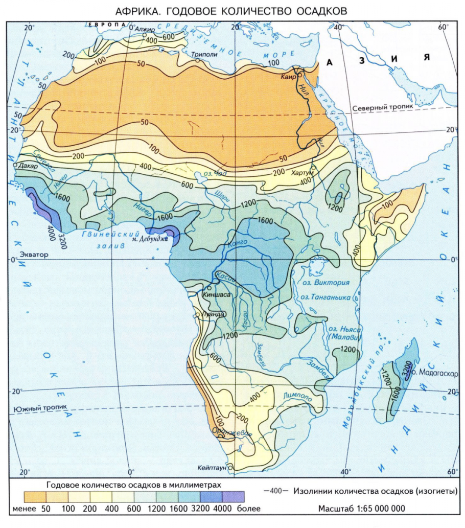 Тропический лес Суматра Индонезия