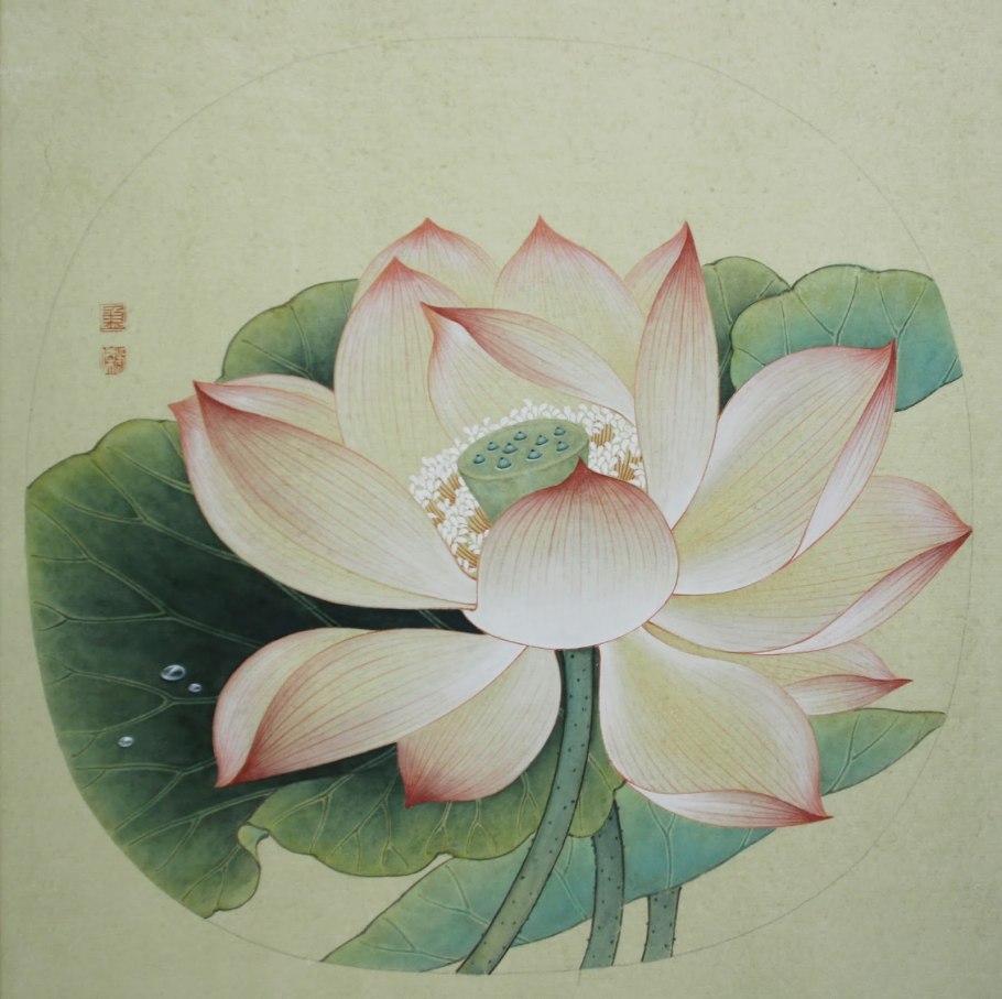 Кувшинка водяная Лилия