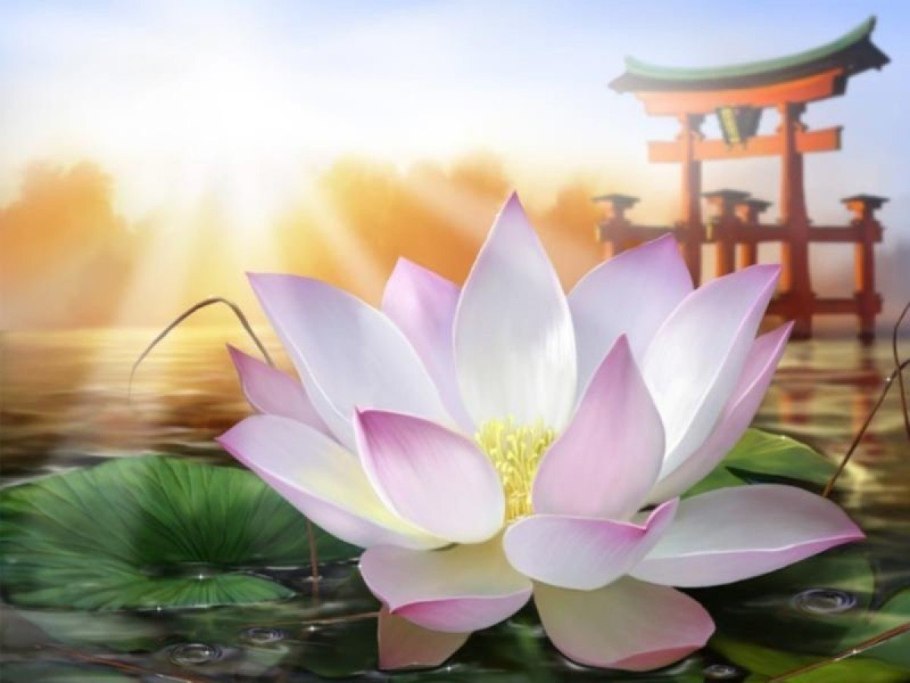 Медитация лотос аллатра