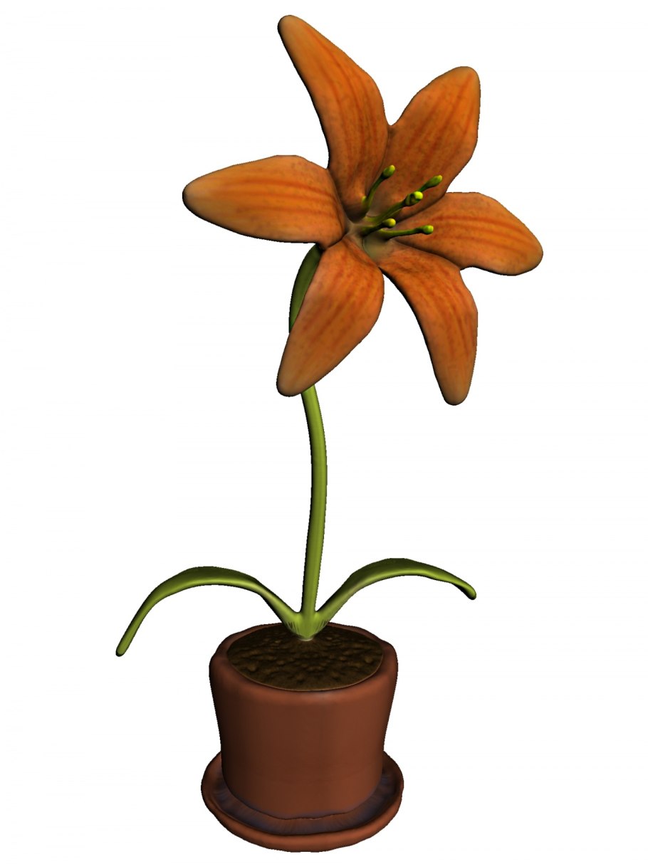 Цветы в одном горшке