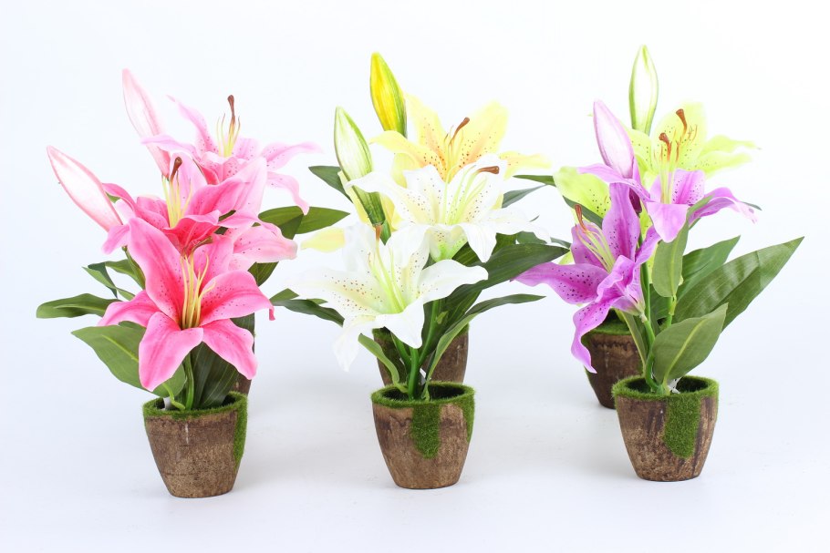 Лилия тайни сорбет микс