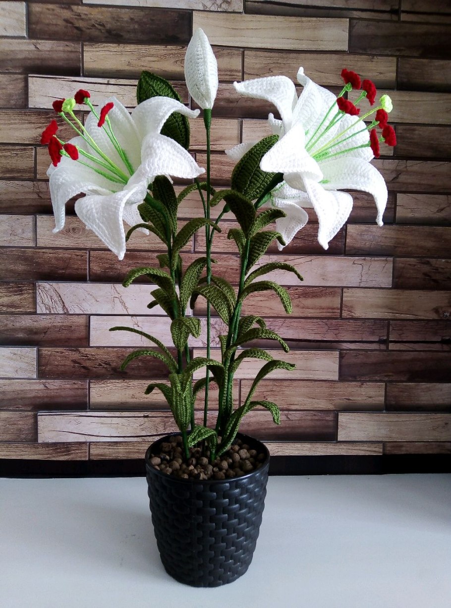 Лилия Касабланка