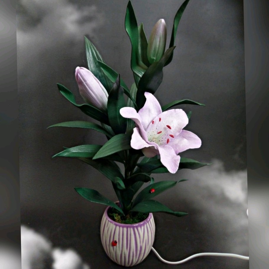 Лилия горшечная "Souvenir"