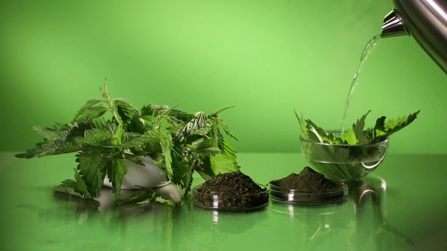 Коктейль крапива