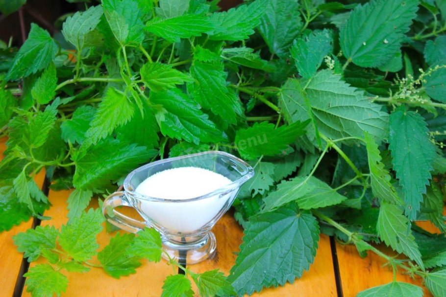 Трихомы крапивы