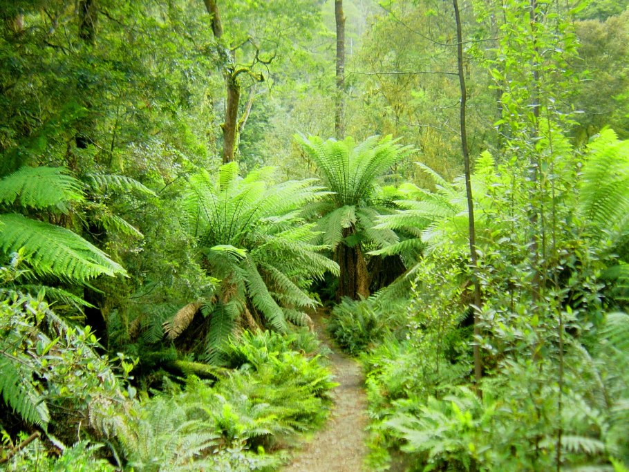 Парк Денали Аляска
