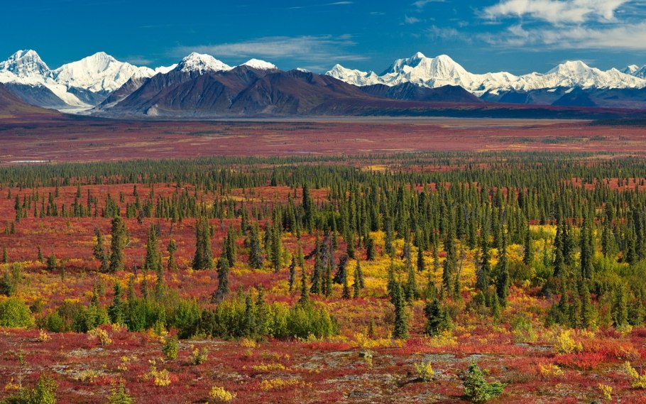 Парк денали аляска осень