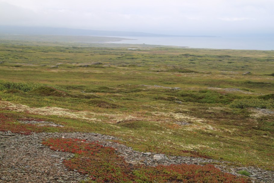 Тундра Таймыр