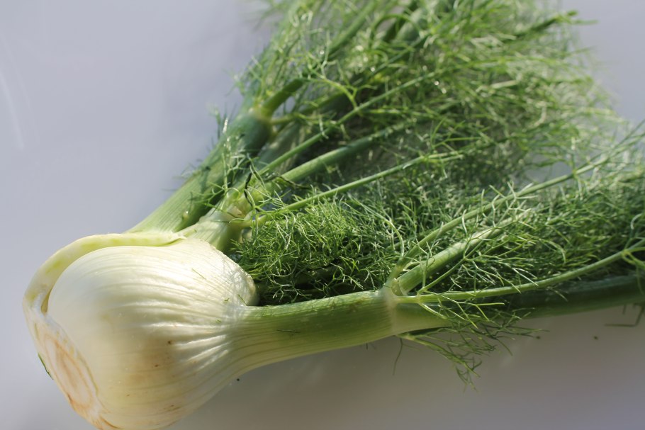 Фенхель Лужниковский Семко