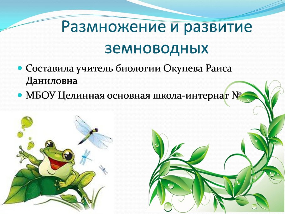 Размножение это в биологии