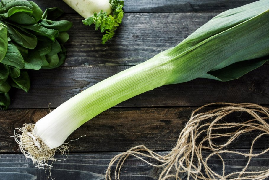 Плюшевый лук порей