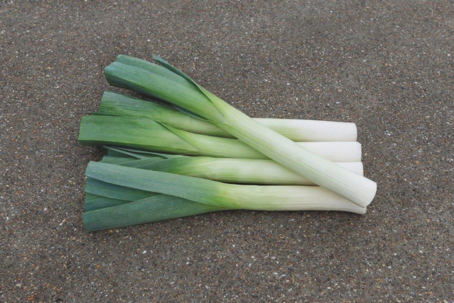 Лук-порей сорта "летний Бриз" лук порей летний Бриз описание сорта
