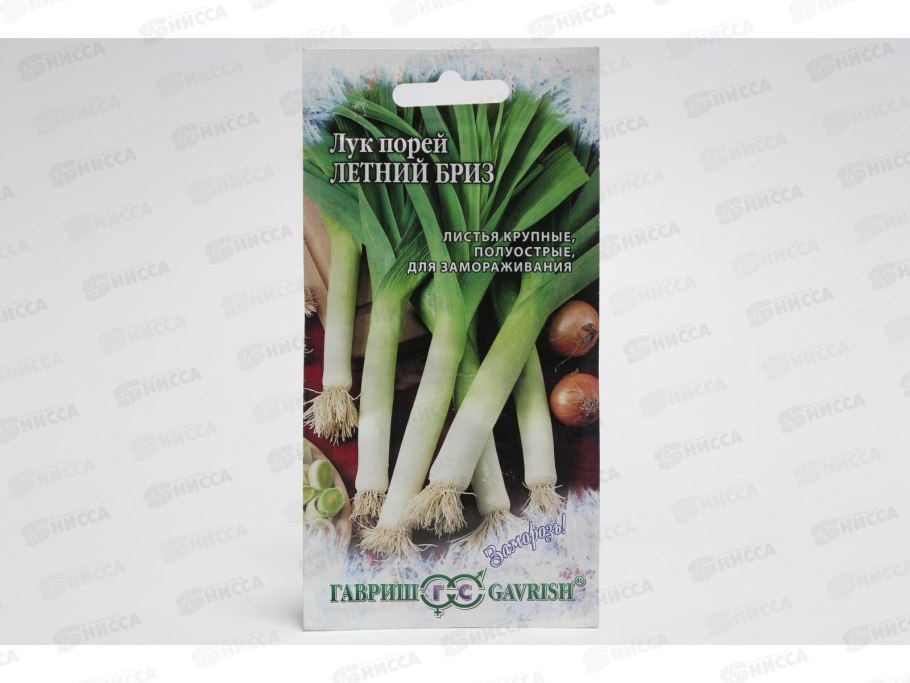 Лук порей семена