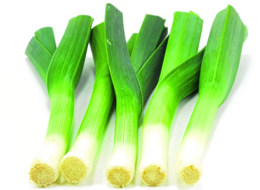 Порей лук