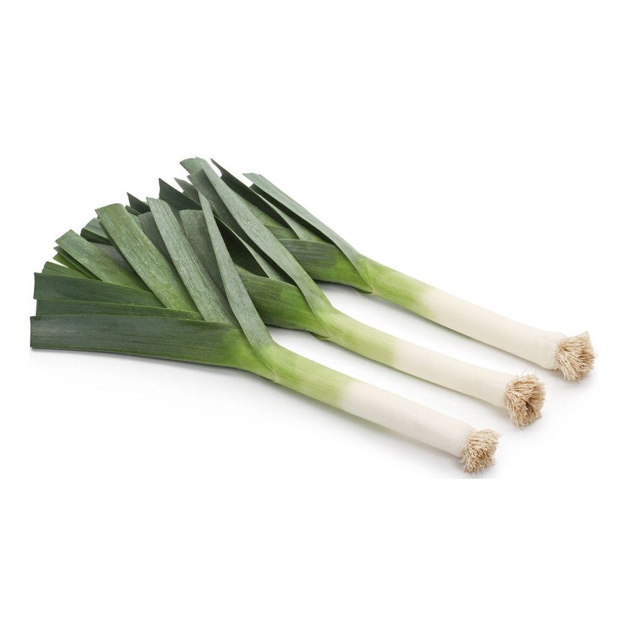 Лук порей и фенхель разница