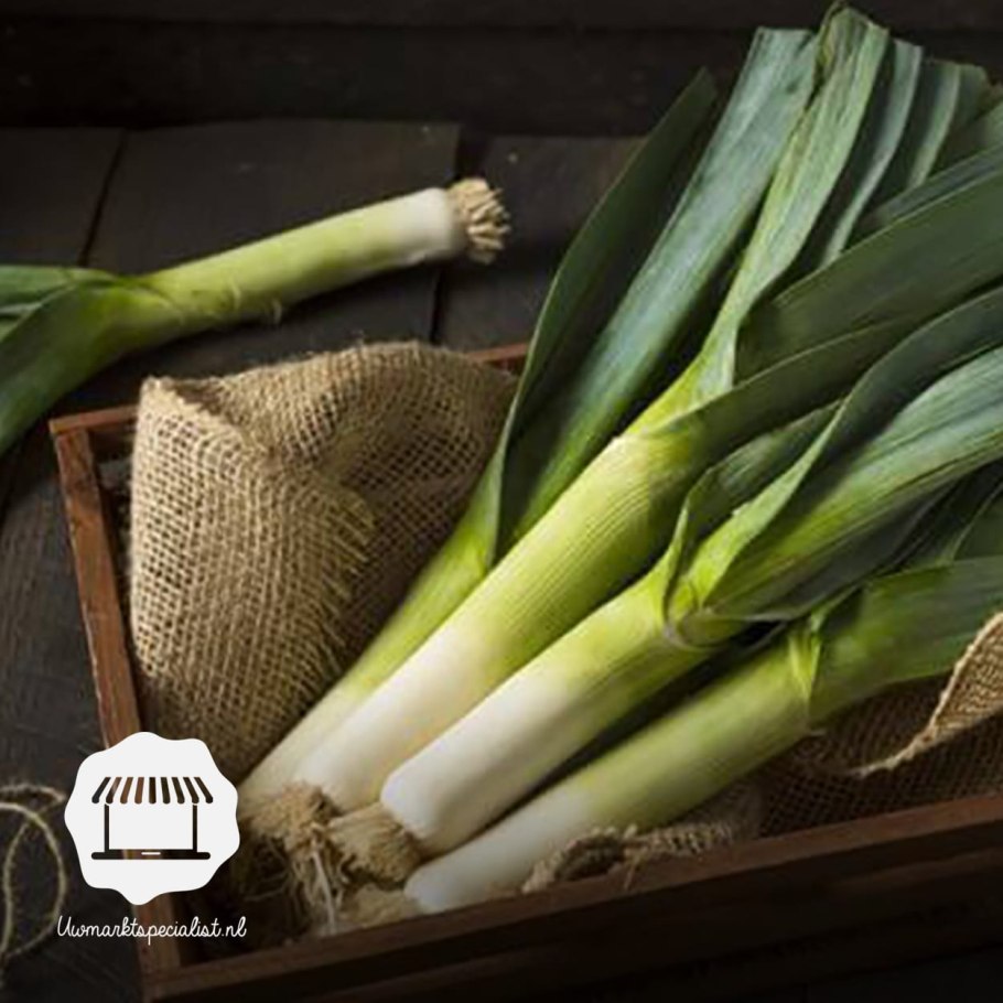 Лук-порей Ланцелот f1 50шт