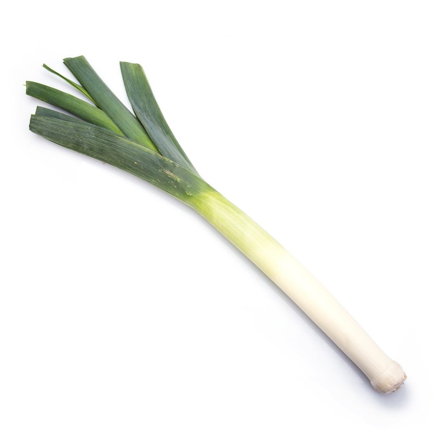 Семена порея фото