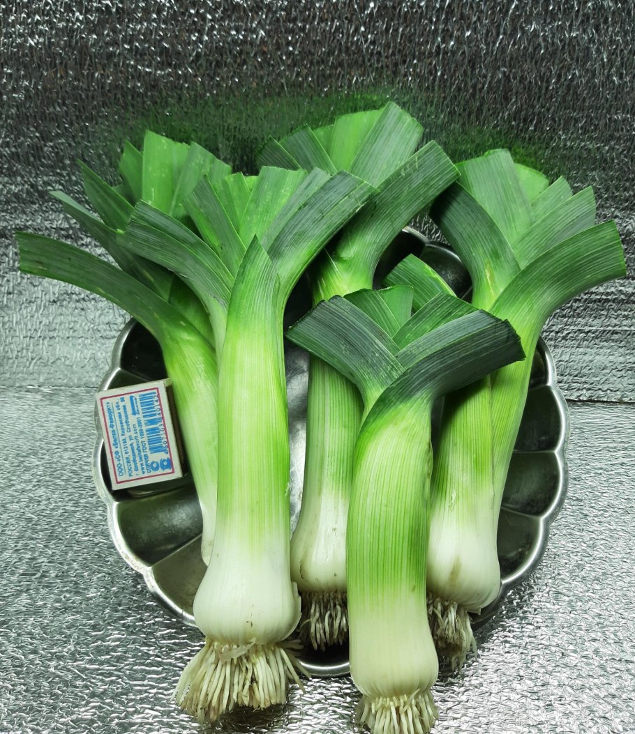 Лук порей сушеный Divia Grand в СПБ