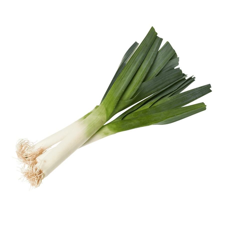 Лук порей в мешке