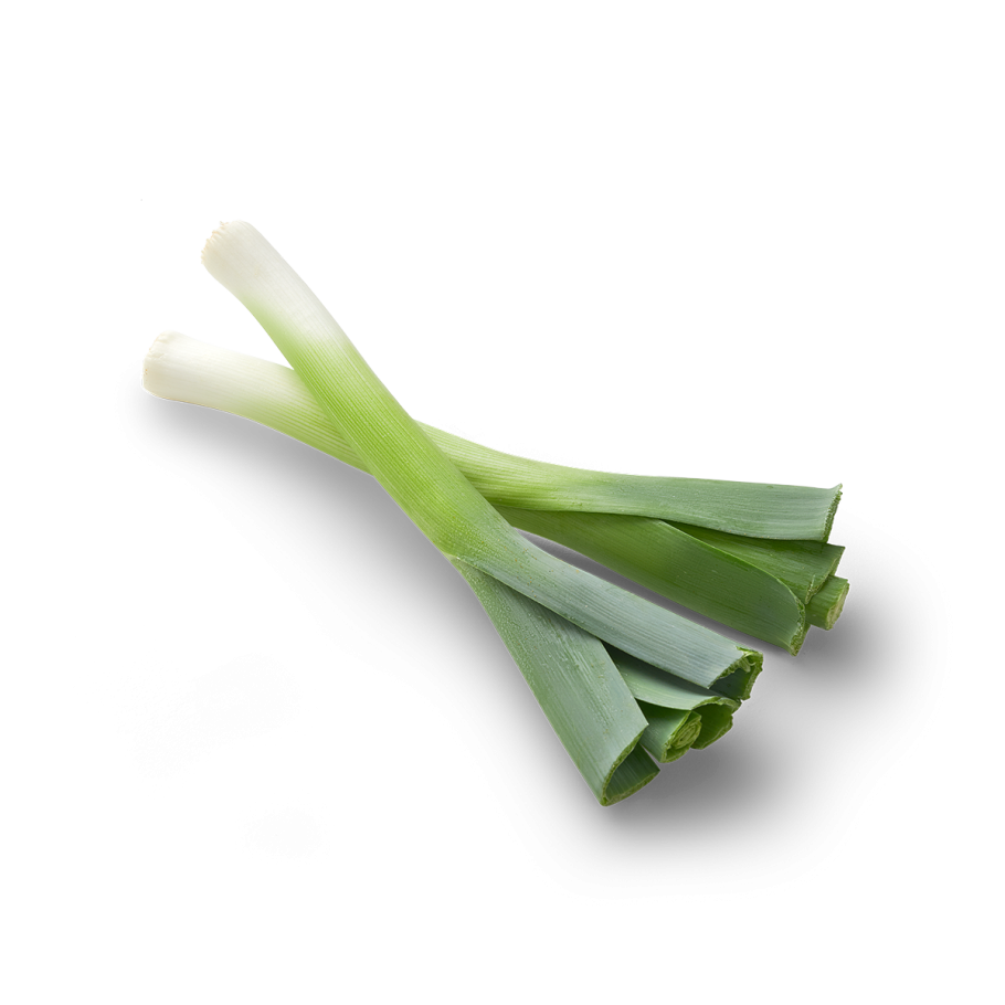 Лук длинный зеленый